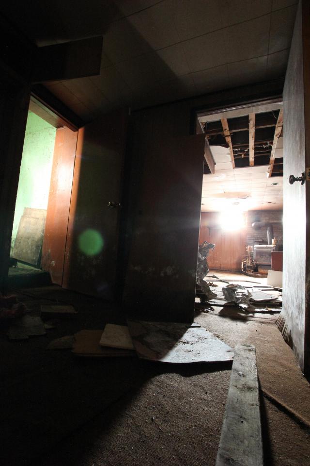 Green Painted Plants Live Forever photo 3