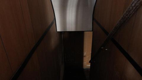 Tangela's Killer - IMG_6064.JPG