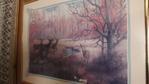 Tangela's Killer - IMG_6041.JPG