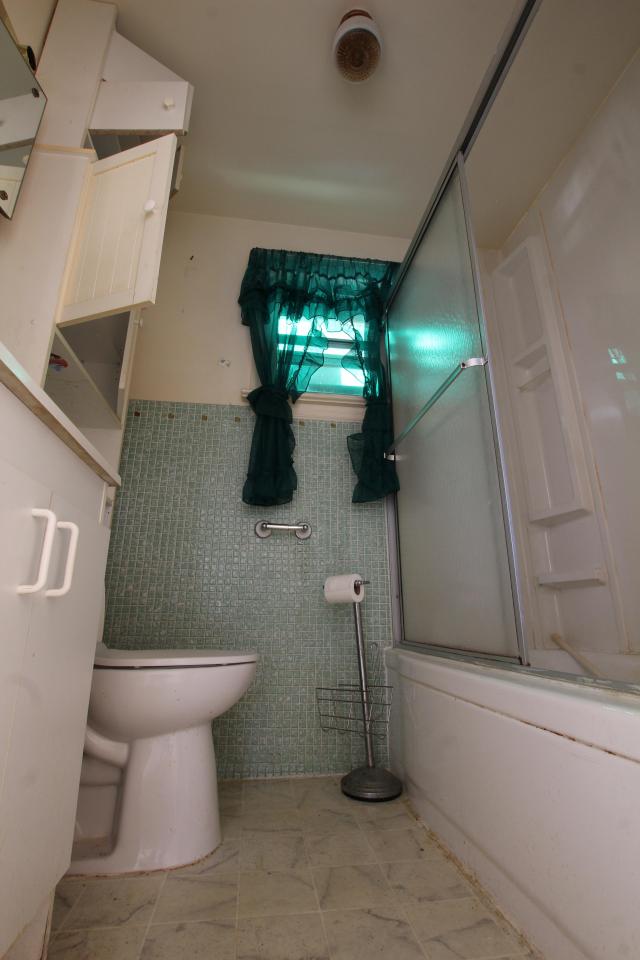 Green Painted Plants Live Forever photo 5