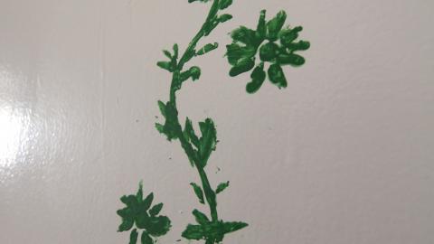 Tangela's Killer - IMG_6034.JPG