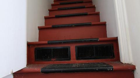 Tangela's Killer - IMG_6053.JPG