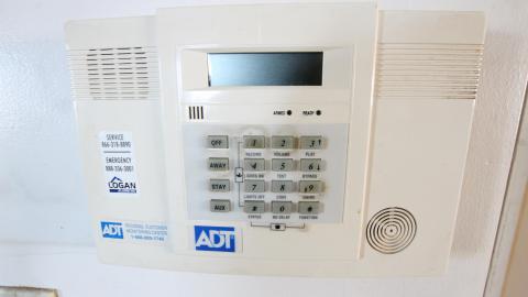 Tangela's Killer - IMG_6049.JPG