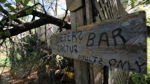 Tangela's Killer - IMG_6007.JPG