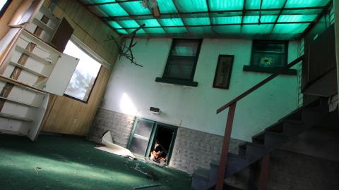 Tangela's Killer - IMG_6022.JPG