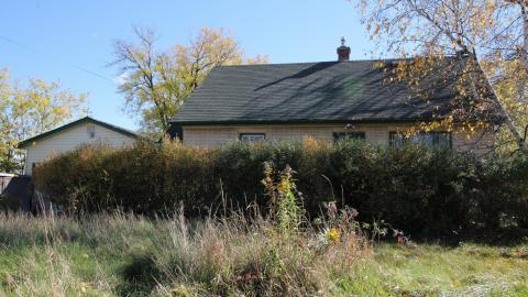 Tangela's Killer - IMG_6017 scaled down.jpg