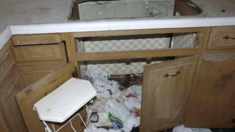 november house gallery - Bayview-Ave.-House4.jpg