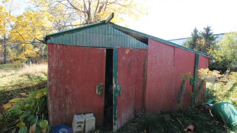 Tangela's Killer - IMG_6010.JPG