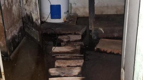 Stepping logs - 20201014_215418.jpg