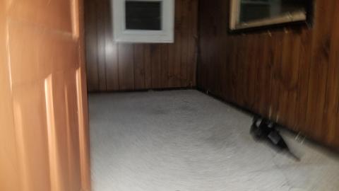 Stepping logs - 20201014_215645.jpg