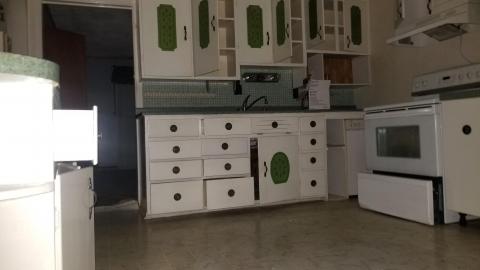 Stepping logs - 20201014_220014.jpg