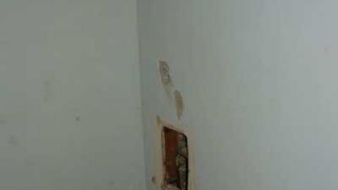 november house gallery - Bayview-Ave.-House12.jpg