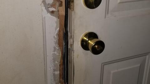 Stepping logs - 20201014_220206.jpg