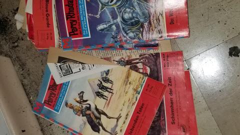 Stepping logs - 20201014_220730.jpg