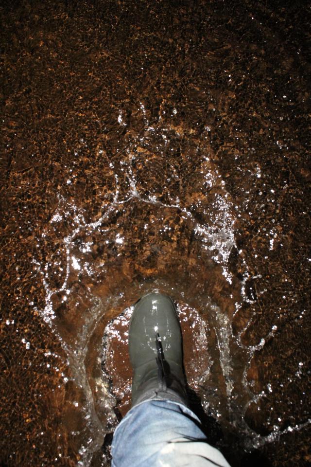 Mill Creek (Galt) photo 2