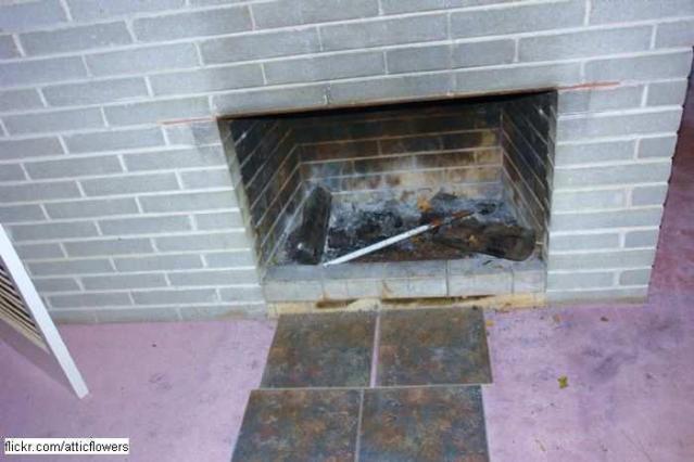 Bayview Ave. House photo 4