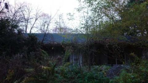 november house gallery - Bayview-Ave.-House22.jpg