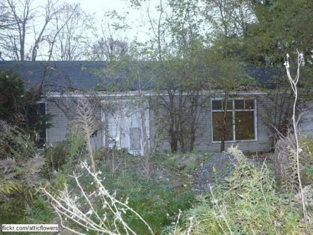 Bayview Ave. House photo 5