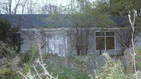 november house gallery - Bayview-Ave.-House19.jpg