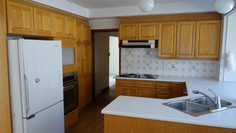 Custom Roller Doors April '20 - DSC05991.JPG