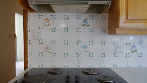 Custom Roller Doors April '20 - DSC06006.JPG