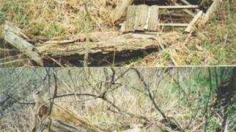 Forest Rangers TV Show Lot photo 2