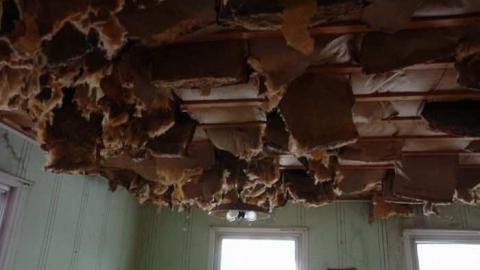 visiting beynon in december! - Beynon-House3.jpg