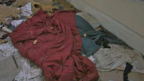 Photo from visiting beynon in december!