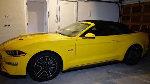 Stanglicious April '20 - DSC06177.JPG