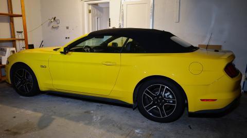 Stanglicious April '20 - DSC06175.JPG