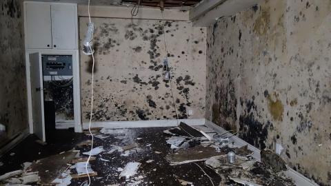 Photo from Stanglicious April '20