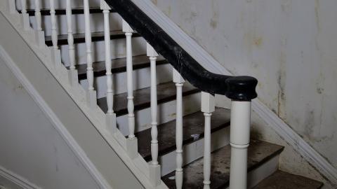 Stanglicious April '20 - DSC06147.JPG