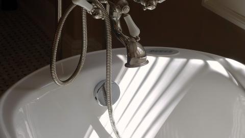 Stanglicious April '20 - DSC06112.JPG