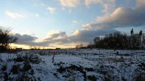 visiting beynon in december! - Beynon-House35.jpg