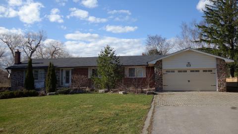 Backyard Party April '20 - DSC06308.JPG