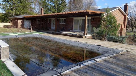 Backyard Party April '20 - DSC06291.JPG