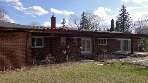 Backyard Party April '20 - DSC06284.JPG