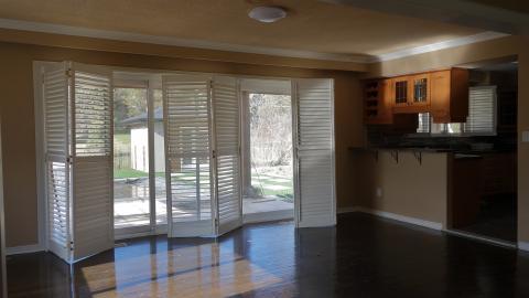 Backyard Party April '20 - DSC06264.JPG