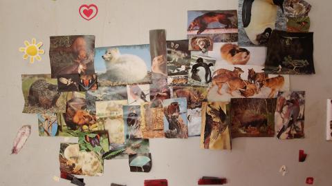 What is a "Realtors Lock"? - IMG_6240 scaled down.jpg