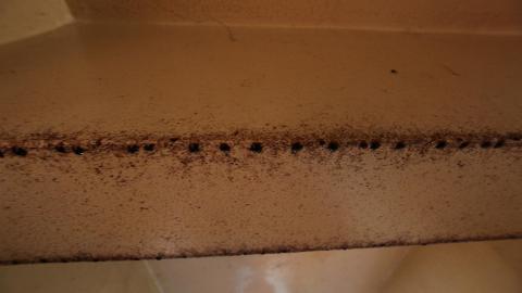 What is a "Realtors Lock"? - IMG_6245 scaled down.jpg