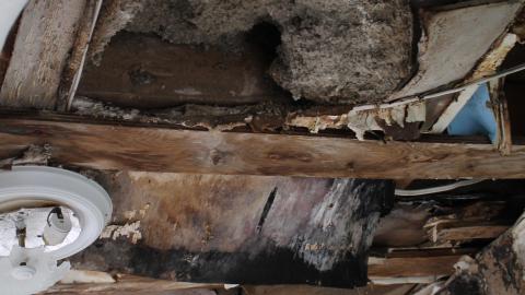 Inside The House - IMG_0933.JPG