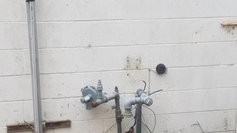 Sinners shall seek - 20201026_152002.jpg