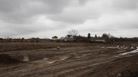 The Soup and The First - IMG_6382 scaled down.jpg