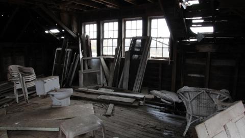 The Pedestals photo 4