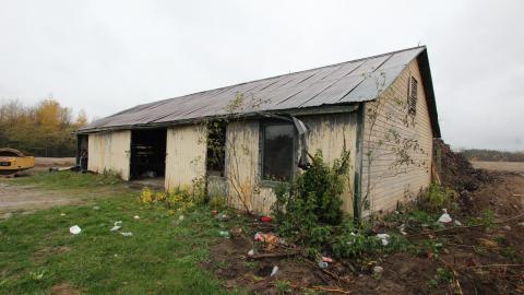 The Second and Outbuilding - IMG_6428 scaled down.jpg