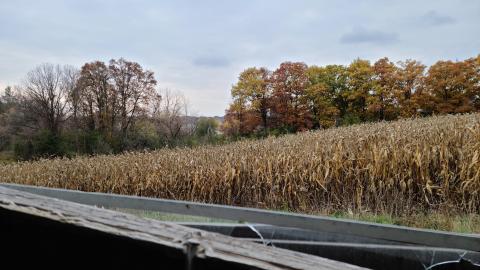 A Popular Place - 20201029_154911.jpg