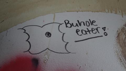 Caulked Stone - IMG_6467 scaled down.jpg