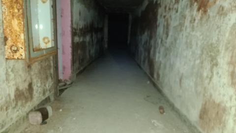 Before It's Gone - 20201031_190903.jpg