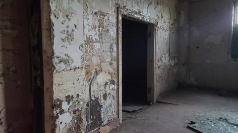 Before It's Gone - 20201031_174605.jpg