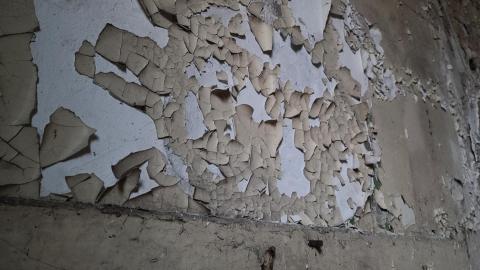 Before It's Gone - 20201031_174315.jpg